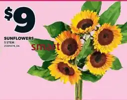 Loblaws Sunflowers offer