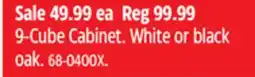 Canadian Tire 9-Cube Cabinet. White or black oak offer