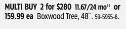 Canadian Tire Boxwood Tree, 48˝ offer