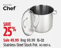 Canadian Tire MasterChef Stainless-Steel Stock Pot offer