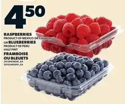 Independent Grocer Raspberries or Blueberries offer