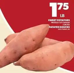 Independent Grocer Sweet Potatoes offer