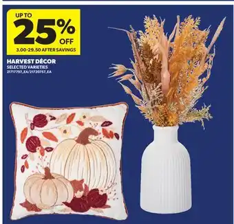 Real Canadian Superstore HARVEST DÉCOR offer