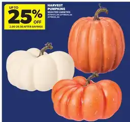 Real Canadian Superstore HARVEST PUMPKINS offer