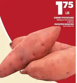 Independent City Market SWEET POTATOES offer