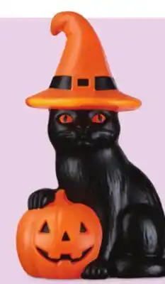 Walmart 18 cat with pumpkin blow mould offer