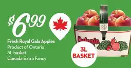 Longo's Fresh Royal Gala Apples offer