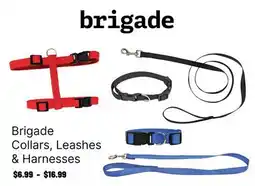 Ren’s Pets Depot Brigade Collars, Leashes & Harnesses offer