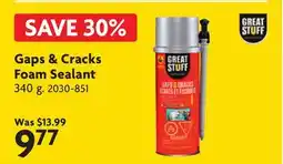 Home Hardware Gaps & Cracks Foam Sealant offer