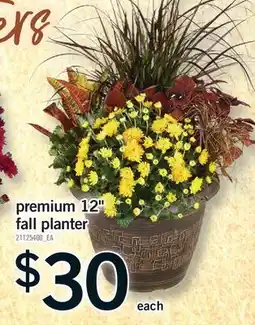 Fortinos PREMIUM 12 FALL PLANTER offer