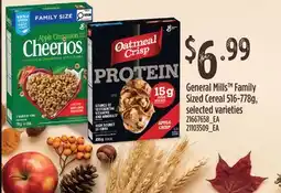 Fortinos GENERAL MILLS FAMILY SIZED CEREAL offer