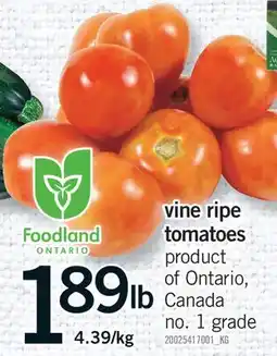 Fortinos VINE RIPE TOMATOES offer