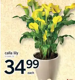 Fortinos CALLA LILY offer