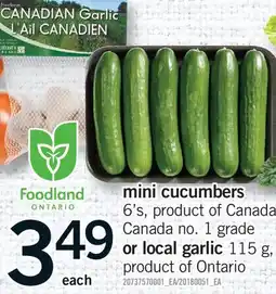 Fortinos MINI CUCUMBERS 6'S, OR LOCAL GARLIC offer