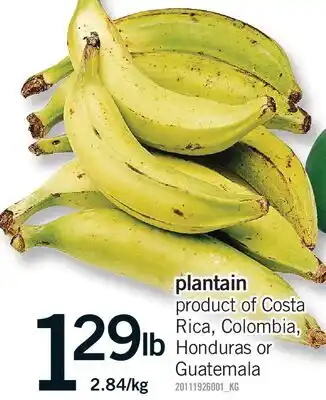 Fortinos PLANTAIN offer