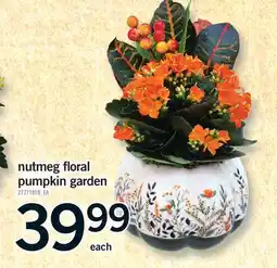 Fortinos NUTMEG FLORAL PUMPKIN GARDEN offer