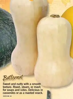 Fortinos SQUASH offer