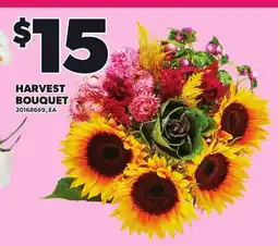 Loblaws HARVEST BOUQUET offer