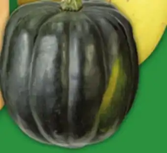 Food Basics ACORN, BUTTERCUP, BUTTERNUT OR SPAGHETTI SQUASH offer