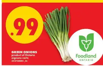 No Frills GREEN ONIONS offer