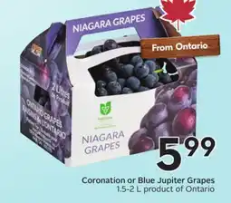 Sobeys Coronation or Blue Jupiter Grapes offer