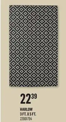 Canac Harlow Rug offer