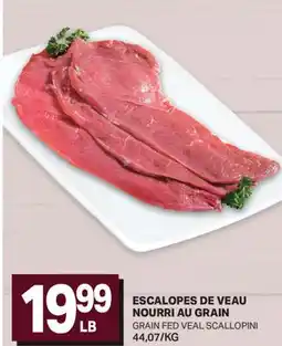 L'Intermarché ESCALOPES DE VEAU NOURRI AU GRAIN | GRAIN FED VEAL SCALLOPINI offer