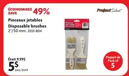 Home Hardware Pinceaux jetables offer