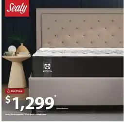 Dormez Vous Sealy Posturepedic Plus DBS 1 Mattress offer