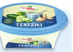 Walmart Fontaine Santé Dips offer