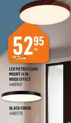 Canac LED Pietro Flush Mount 14 in offer