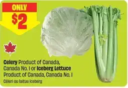FreshCo Celery or Iceberg Lettuce offer
