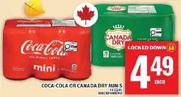 Food Basics Coca-Cola or Canada Dry minis offer