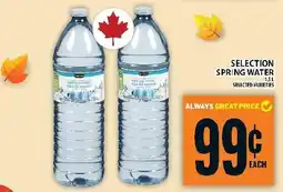 Food Basics Selection spring water offer