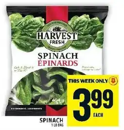 Food Basics Harvest Fresh spinach epinards offer