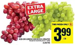 Food Basics Red or green seedless grapes offer