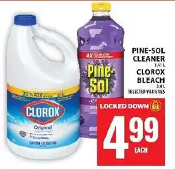 Food Basics Clorox bleach pine sol cleaner offer