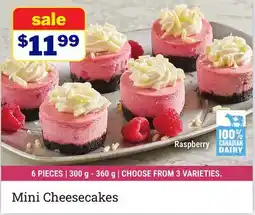 M & M Food Market Mini Raspberry Cheesecakes offer
