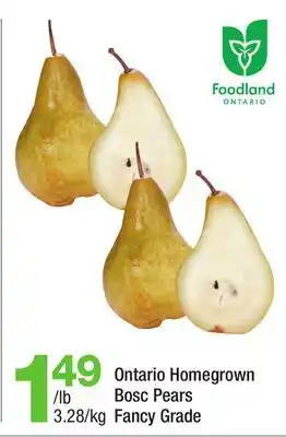 Highland Farms Ontario Homegrown Bosc Pears offer