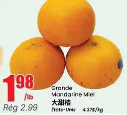 Btrust Supermarket Grande Mandarine Miel offer