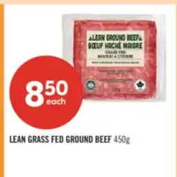 Shoppers Drug Mart LEAN GRASS FED GROUND BEEF offer