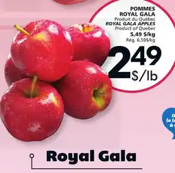IGA POMMES ROYAL GALA offer