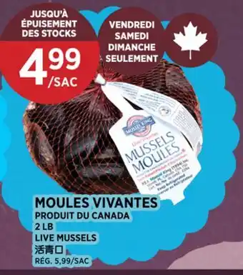 Kim Phat LIVE MUSSELS offer