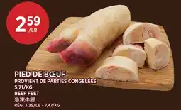 Kim Phat PIED DE BŒUF offer