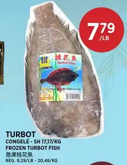 Kim Phat FROZEN TURBOT FISH offer