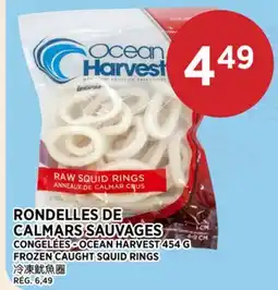 Kim Phat FROZEN CAUGHT SQUID RINGS offer