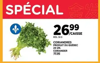 Kim Phat CORIANDER offer