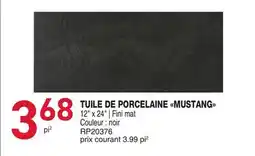 Matério TUILE DE PORCELAINE MUSTANG offer