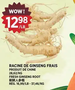 Kim Phat FRESH GINSENG ROOT offer