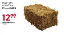 Matério PAILLE NATURELLE offer